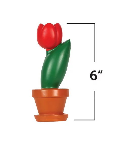 Budowa kwiatu, przekrój poprzeczny