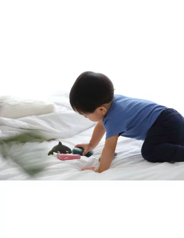 Zestaw zwierzęta morskie