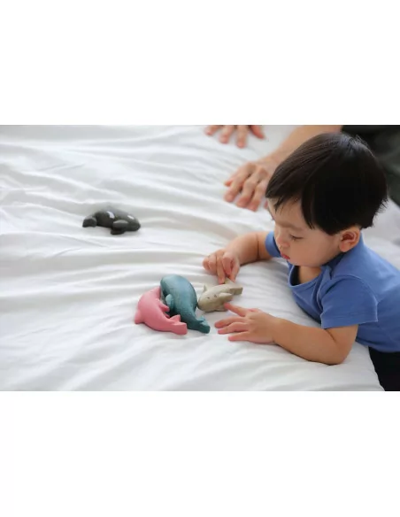 Zestaw zwierzęta morskie