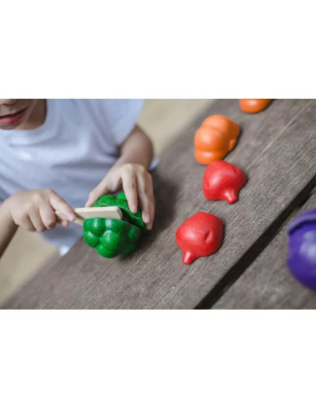 Zestaw warzyw w 5 kolorach