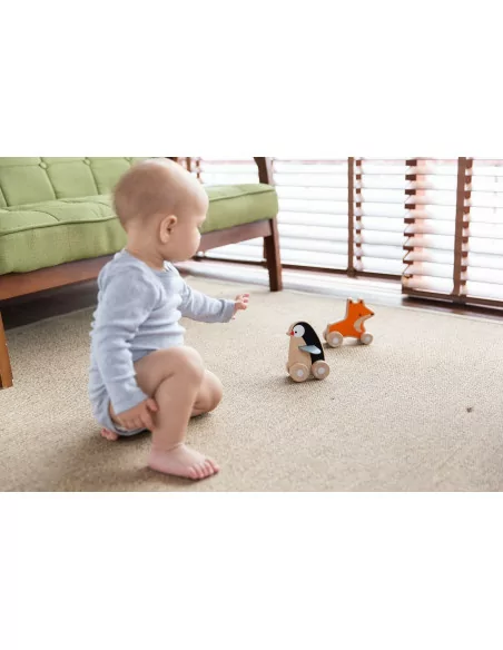 Pingwin na kółkach