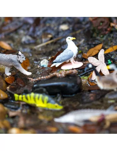 Tuba - Wielkie jeziora