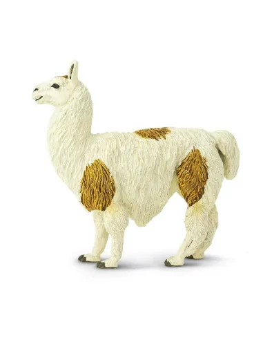 Lama