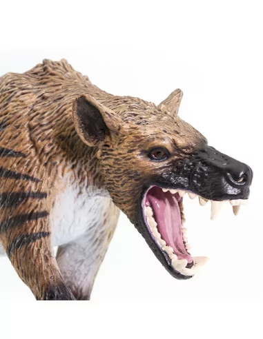 Hyaenodon
