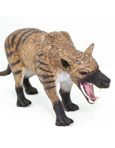 Hyaenodon