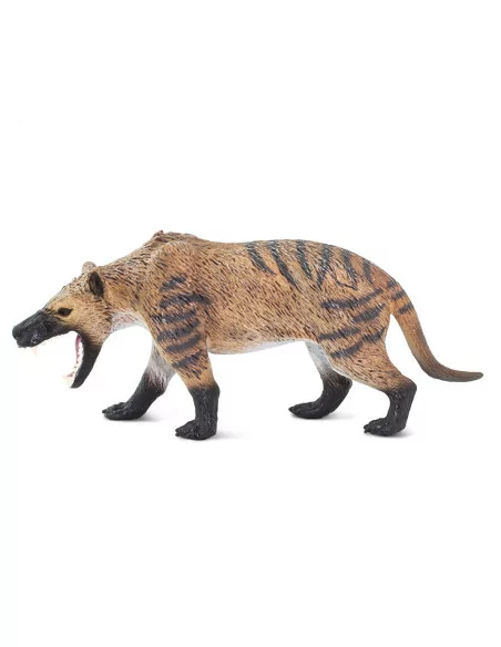 Hyaenodon
