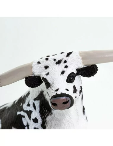 Teksańskie bydło długorogie