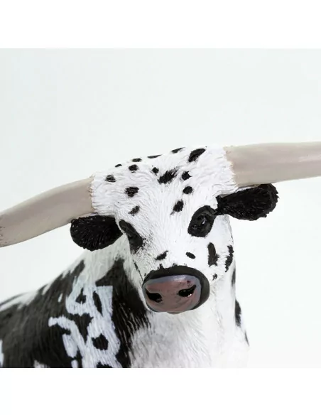 Teksańskie bydło długorogie