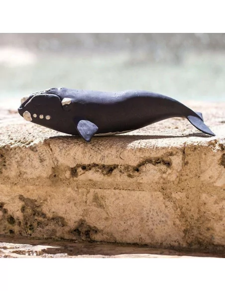 Wieloryb południowy