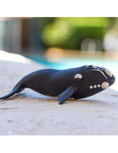 Wieloryb południowy