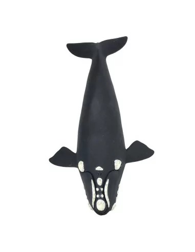 Wieloryb południowy