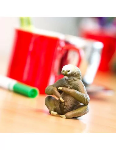 Leniwiec dwupalczasty