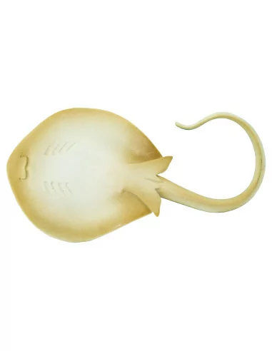 Patelnica niebieskoplama