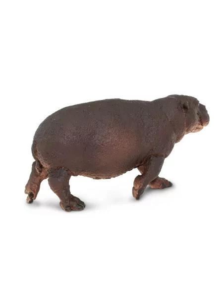 Hipopotam karłowaty