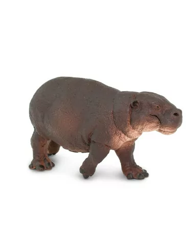 Hipopotam karłowaty