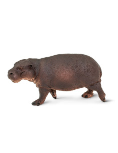 Hipopotam karłowaty