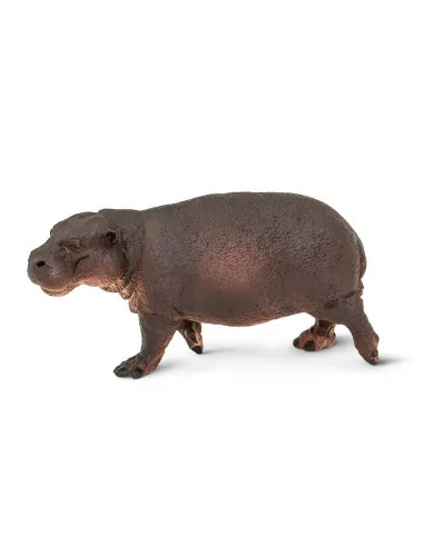 Hipopotam karłowaty