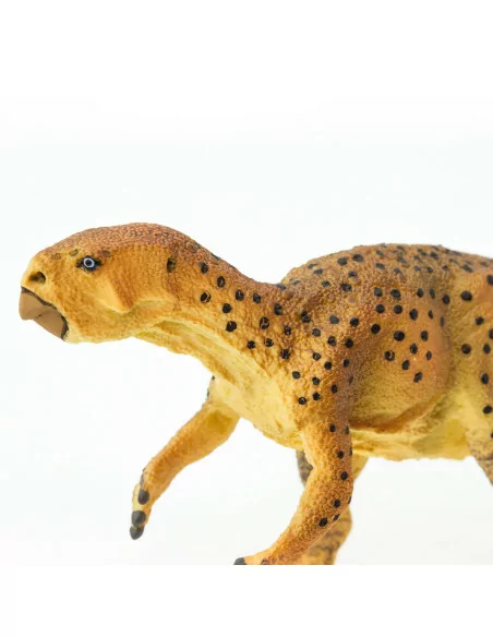 Psittacosaurus