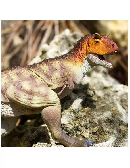 Carnotasaurus