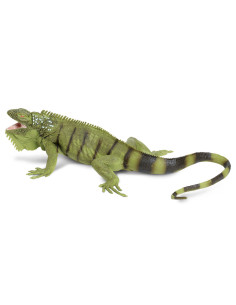 Legwan zielony