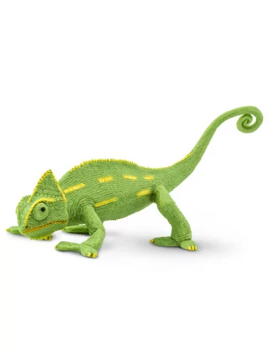 Młode kameleona jemeńskiego