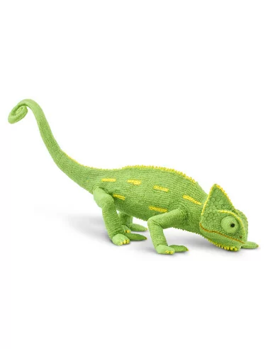 Młode kameleona jemeńskiego