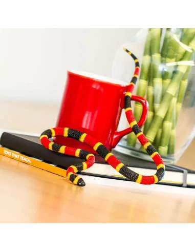 Młode węża koralowego arlekina