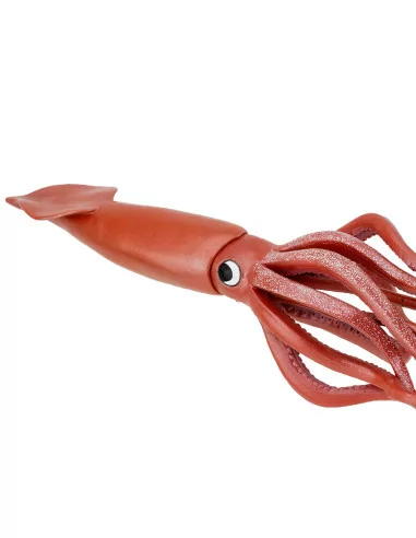 Kałamarnica olbrzymia