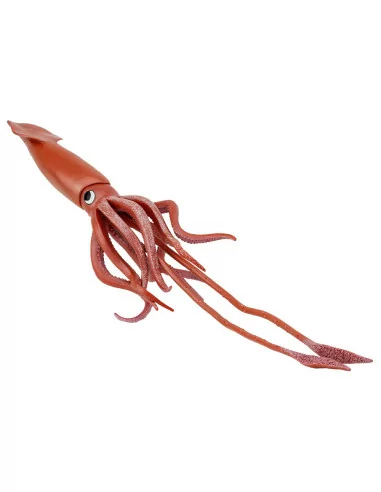 Kałamarnica olbrzymia