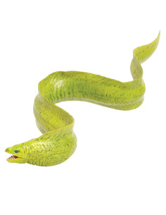 Murena zielona