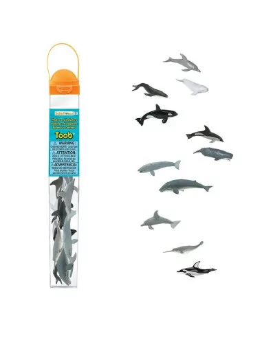 Tuba - Wieloryby i delfiny