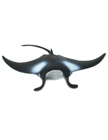 Manta