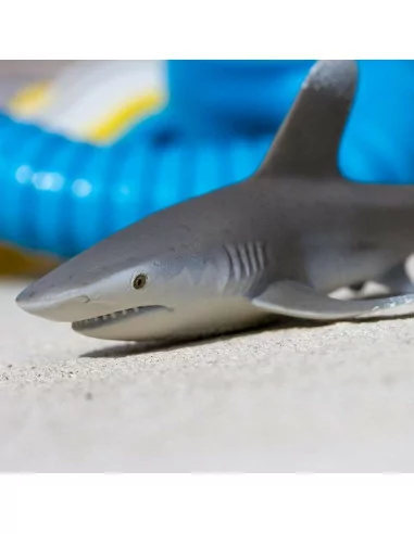 Żarłacz białopłetwy