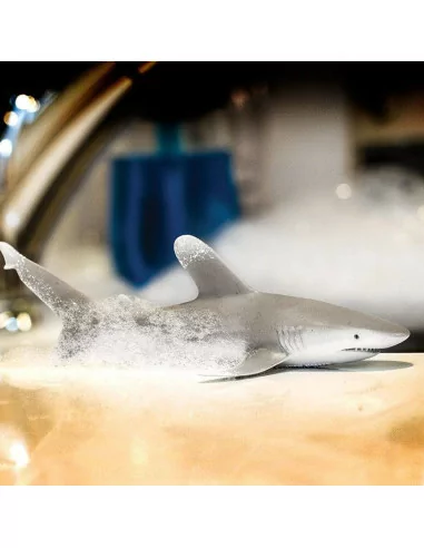 Żarłacz białopłetwy