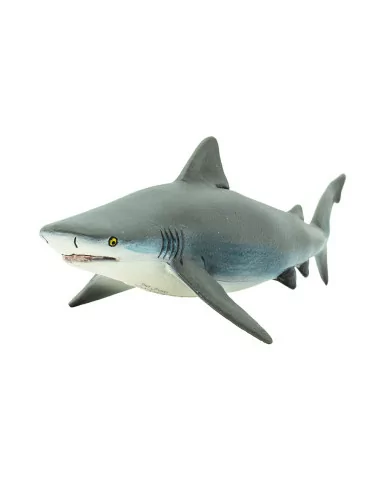 Żarłacz tępogłowy