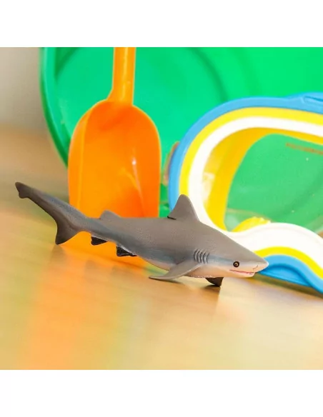 Żarłacz tępogłowy