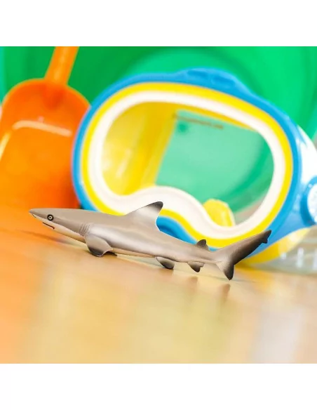 Żarłacz (Carcharhinus melanopterus)