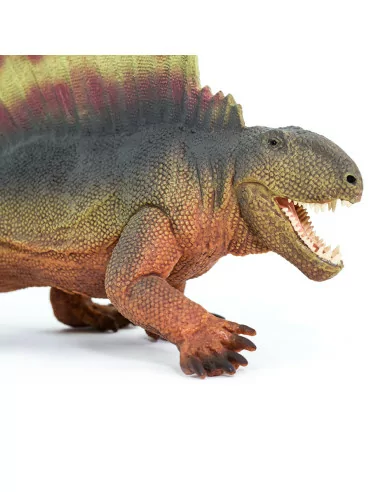 Dimetrodon