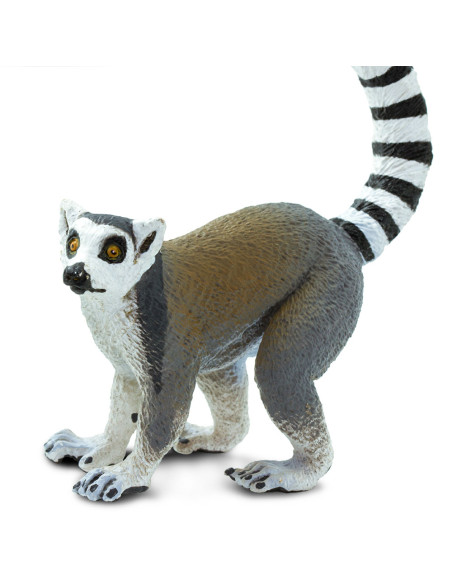 Lemur katta