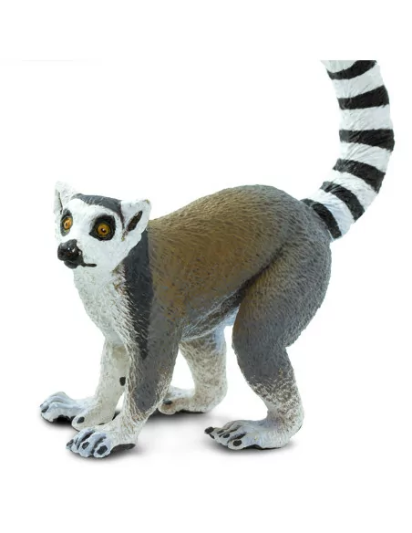 Lemur katta
