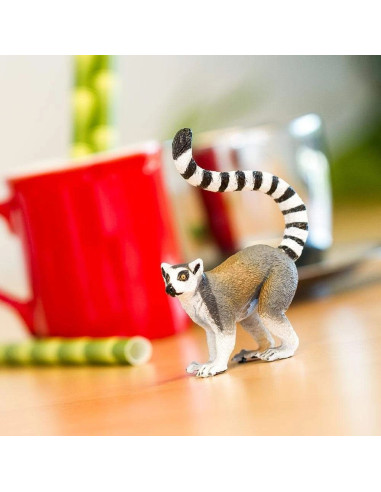 Lemur katta