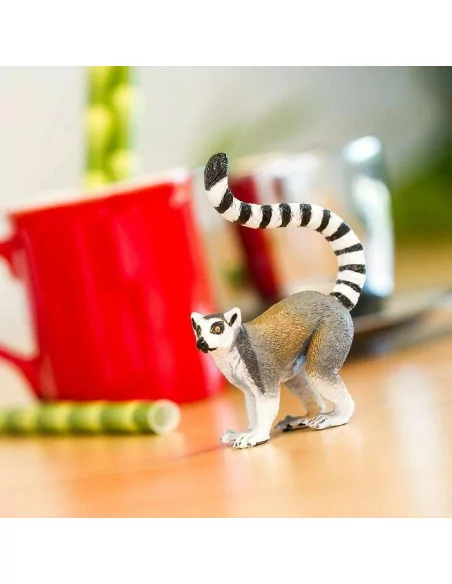 Lemur katta