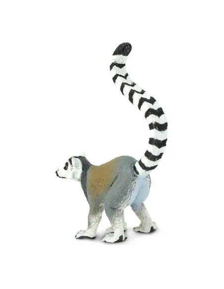 Lemur katta