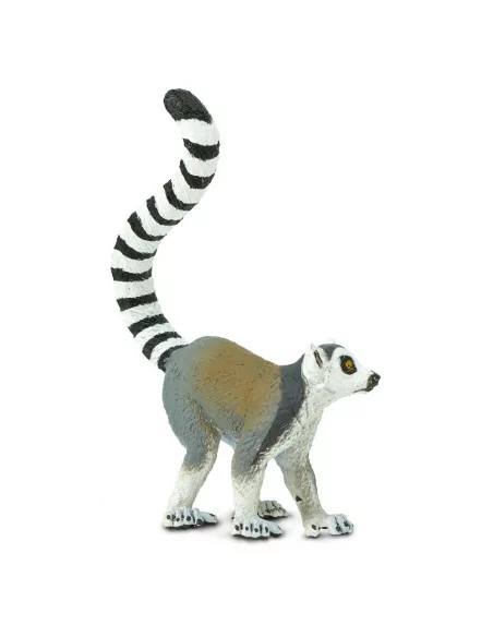 Lemur katta