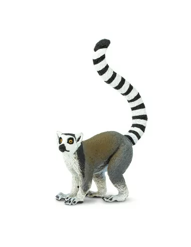 Lemur katta