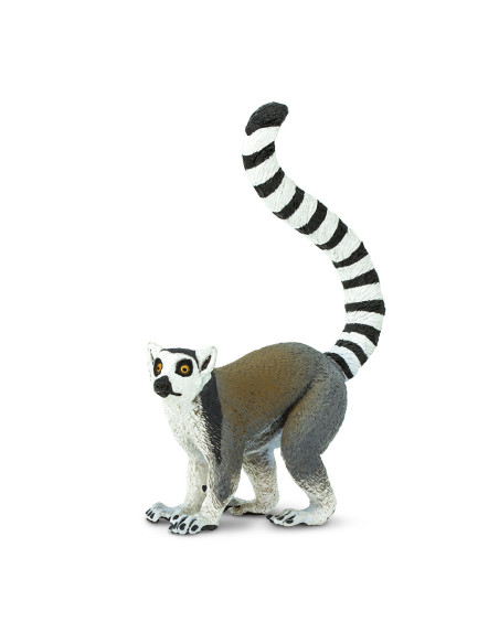 Lemur katta