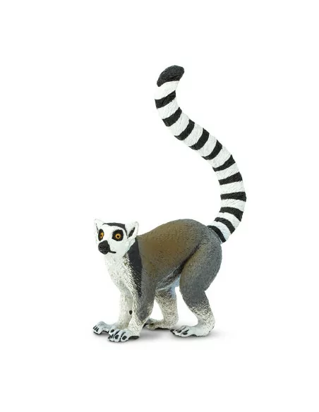 Lemur katta