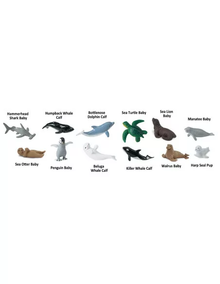 Tuba - Młode zwierząt morskich