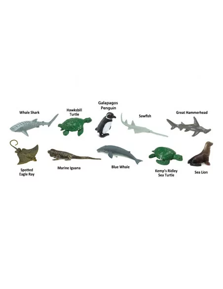 Tuba - Zagrożone gatunki morskie