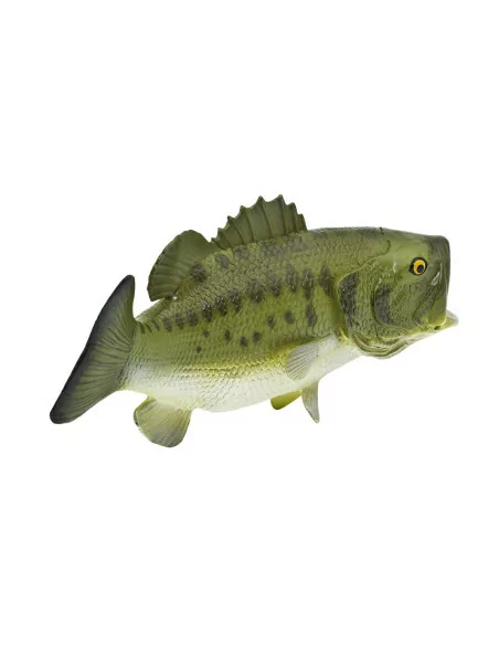 Bass wielkogębowy